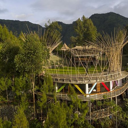 Pagupon Bromo Budget Lodge Екстериор снимка
